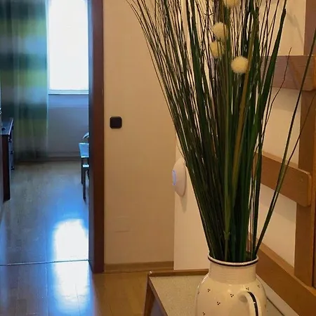 アパート 55-Qm-Traminer-Eg-Gartenblick *